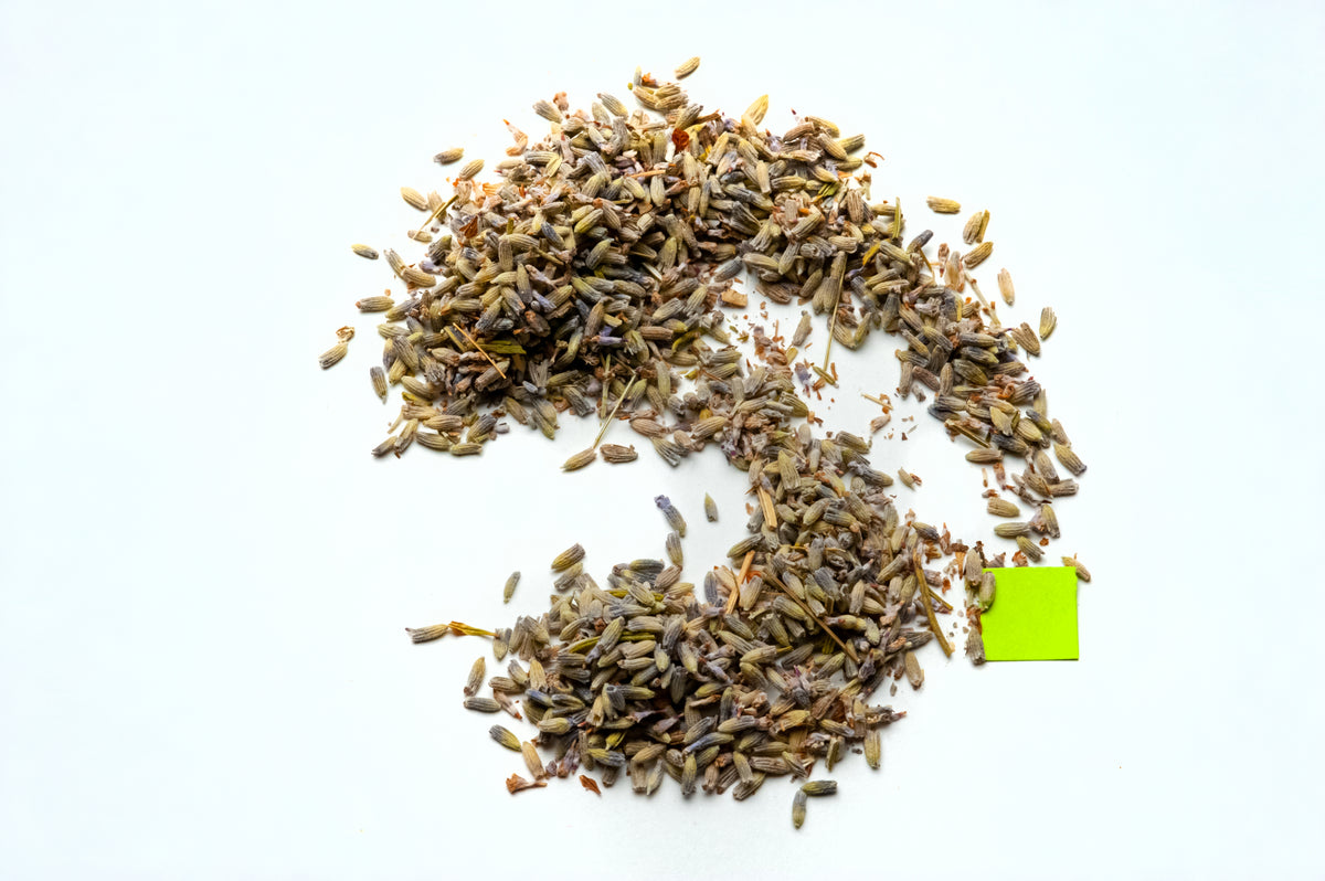 Lavender