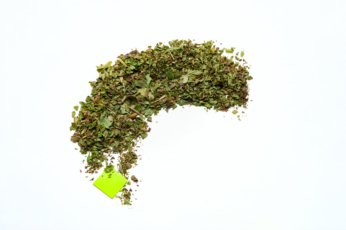 Lemon Balm