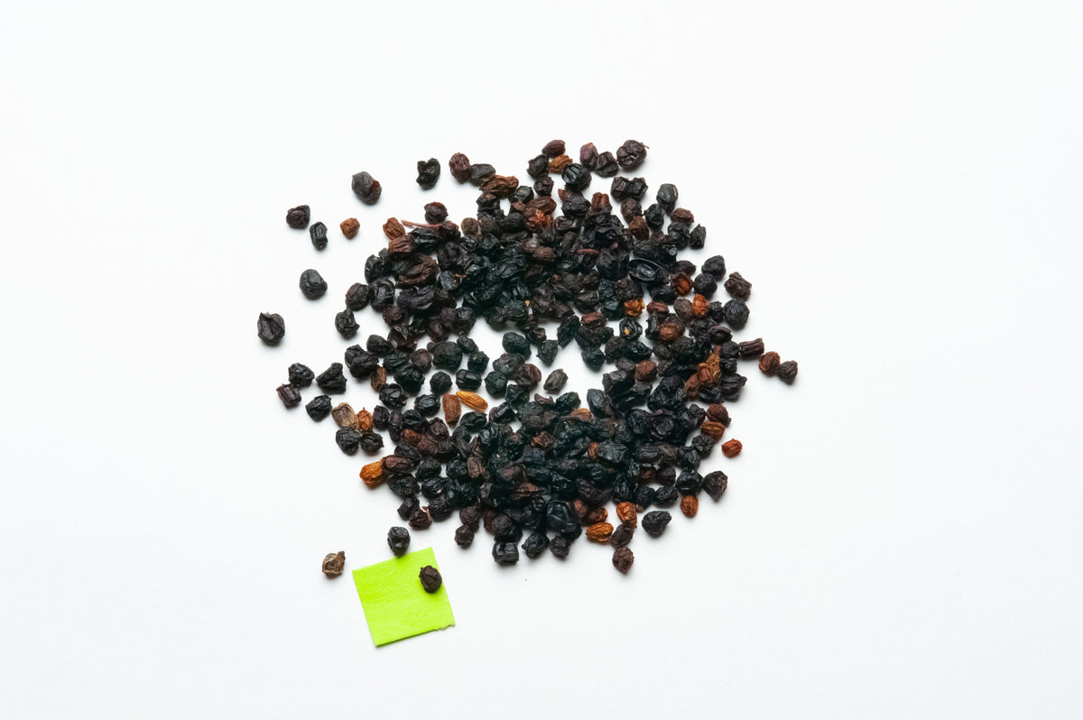 Elderberry
