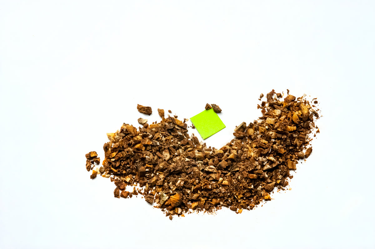 Burdock Root